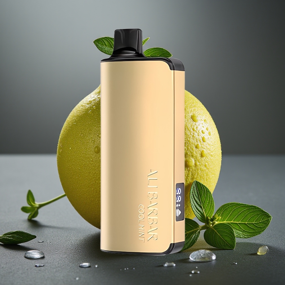 Alibarbar Ingot 9000 Puffs Enkratna Vapa Hladna Meta 22ml 2350mAh