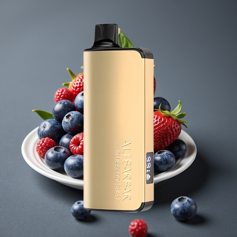 Alibarbar Ingot 9000 Puffs Enkratna Vape Borovnica Eksplozija 22ml 2350mAh